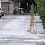 Azety Azerty Profile Picture