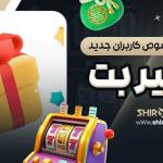 sogol alizadeh Profile Picture