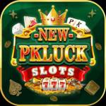 Newpkluck cc Profile Picture