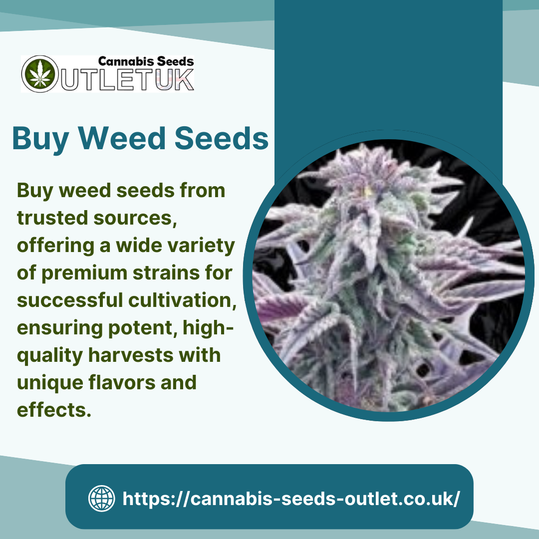 Cannabis Seeds  Outlet -  Buy Weed Seeds Online – Premium...