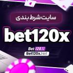 ada seo Profile Picture