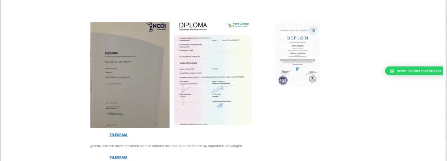 Diplomakopens Se Cover Image