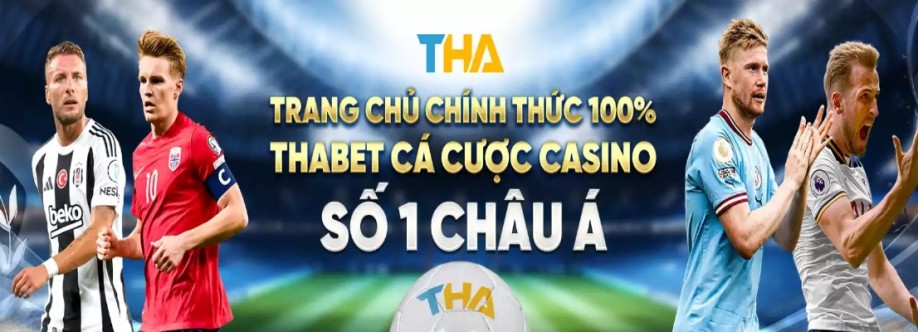 Thabetc net Cover Image