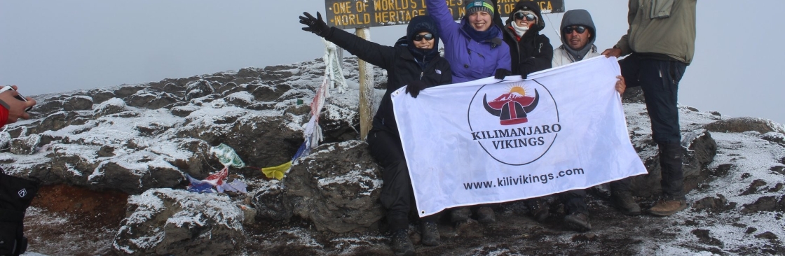 Kilimanjaro Vikings Cover Image