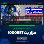 هزار بت 1000bet Profile Picture