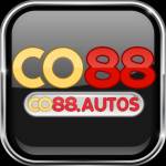 co88 autos Profile Picture