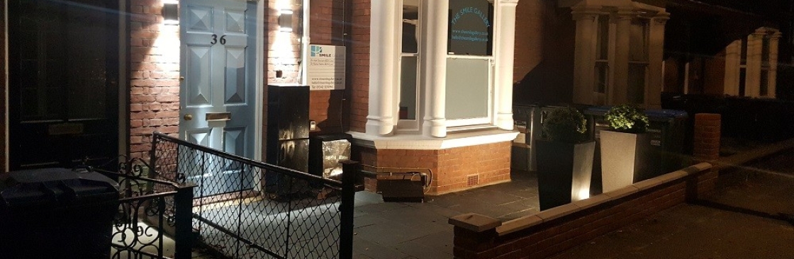 The Smile Gallery Cover Image