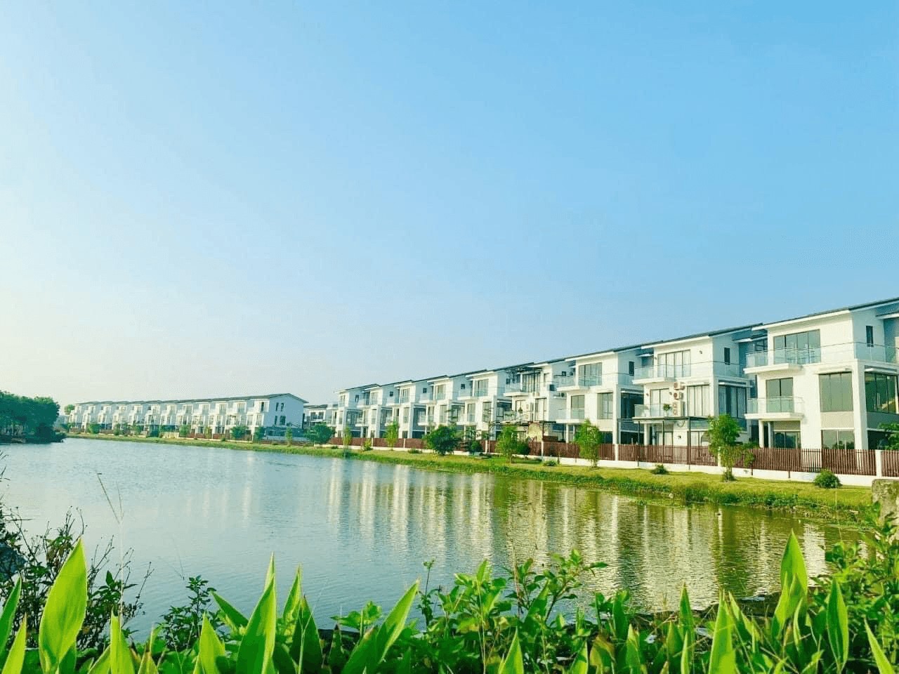 Belhomes Hải Phòng Profile Picture