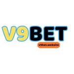 V9Bet Website Profile Picture