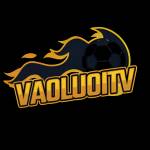 Vaoluoitv it com Profile Picture