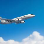 elijah margot Profile Picture