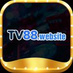 tvv website Profile Picture