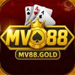 mv88gold1 mv88gold Profile Picture