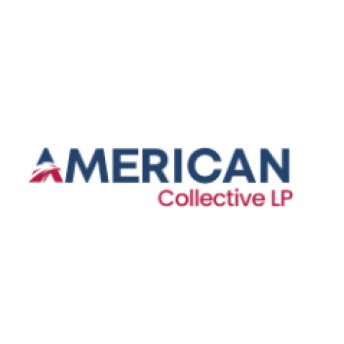American Collective Lp Reviews & Experiences