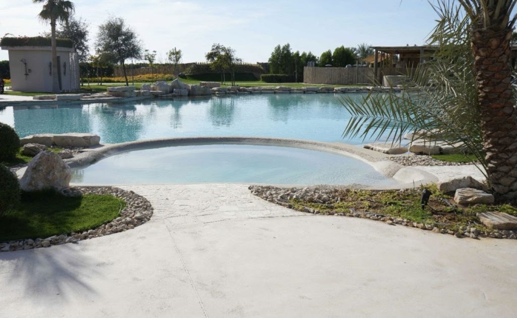 Why Are Environmentally Friendly Swimming Pools The New Status Symbol in Eco Living?