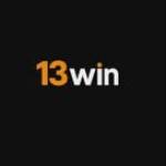 13WIN Profile Picture