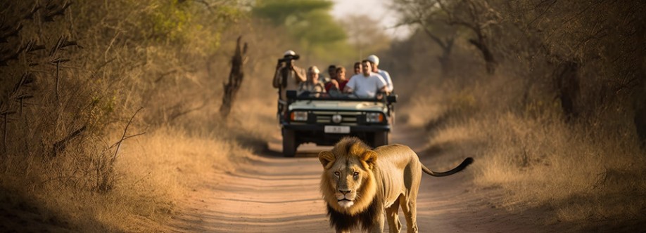 safaris in tanzania Cover Image