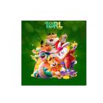 1brl bet Profile Picture