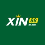 XIN88 com Profile Picture