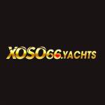 Xoso66 investments Profile Picture