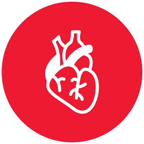 Transcatheter Mitral Valve Repair - Heart & Wellness Center