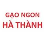 Gạo ST25 Chính hãng Profile Picture