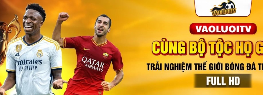 Vaoluoitv Cover Image