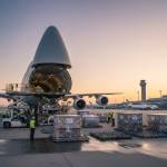 Cargow International Profile Picture