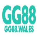 gg88 wales Profile Picture