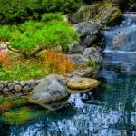 pond haven Profile Picture