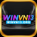 winvn13 org Profile Picture