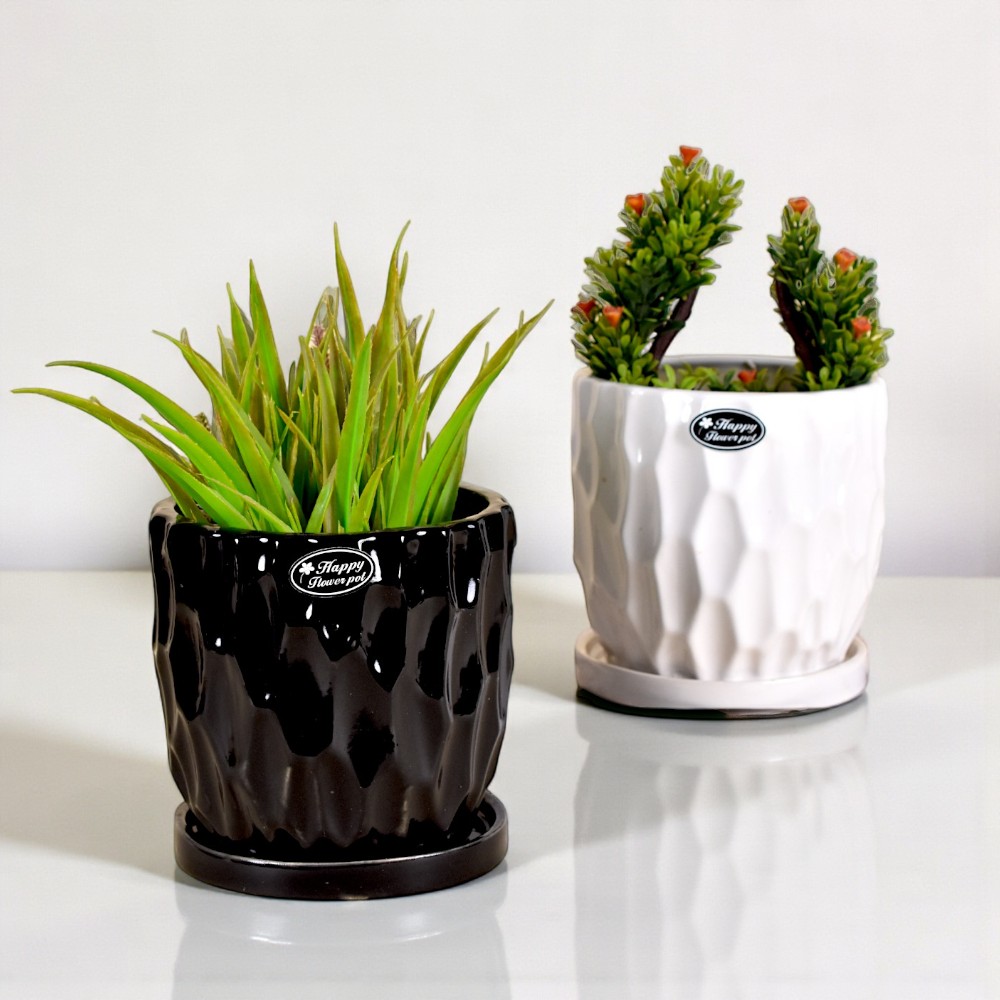 Ceramic Pots and Planters Wholesale at Best Price in India