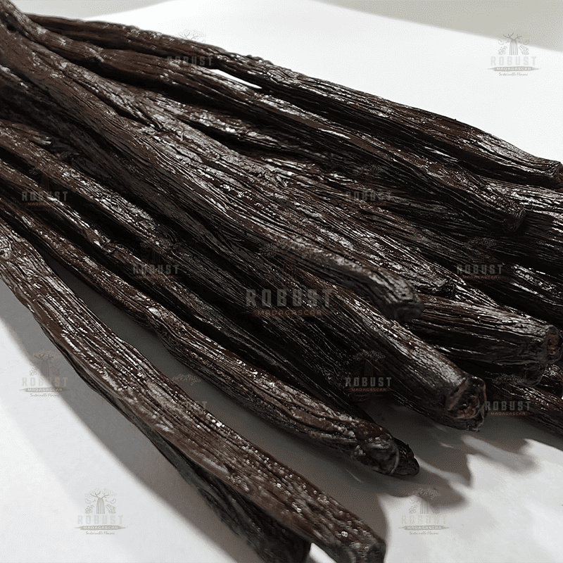 The Essence of Flavor: Explore Madagascar Bourbon Vanilla Beans with Robust Madagascar | by Robust Madagascar | Nov, 2025 | Medium