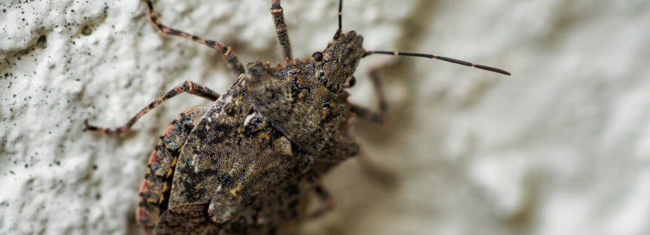 Agile Pest Control Cover Image