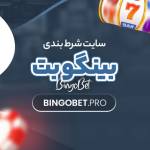 ada seo Profile Picture