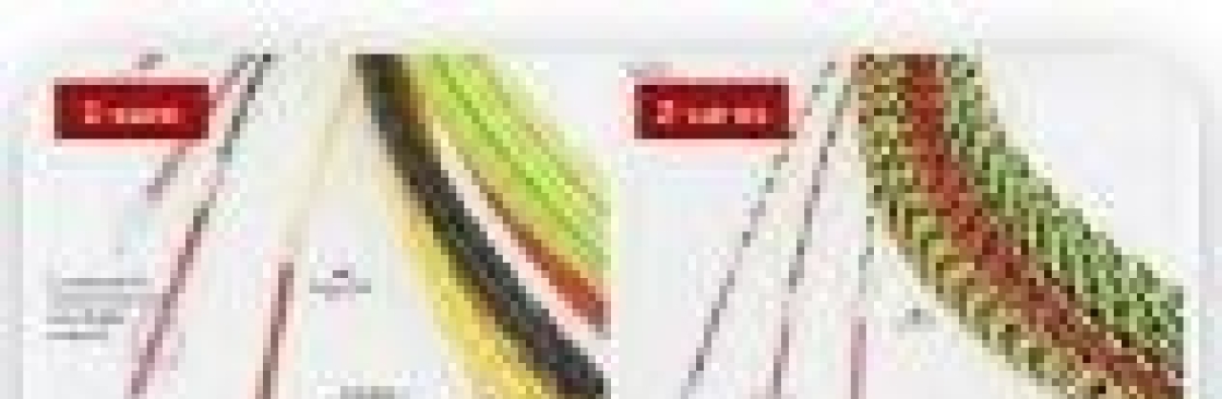 Superfish Fish Tape Cover Image