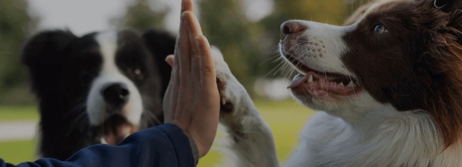 Pet Adventures Cover Image