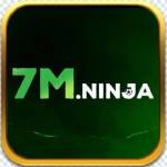 7M ninja Profile Picture