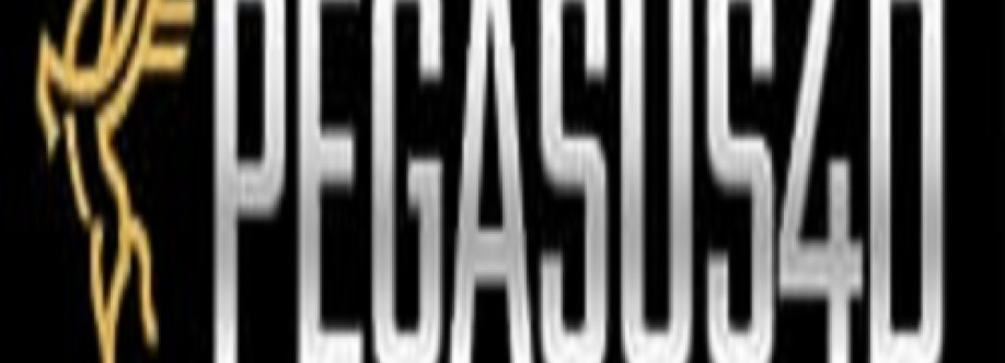 pegasus4d login Cover Image