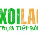 xoilac commx Profile Picture