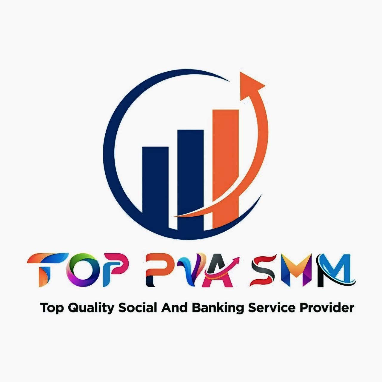 TOP PVA SMM Profile Picture