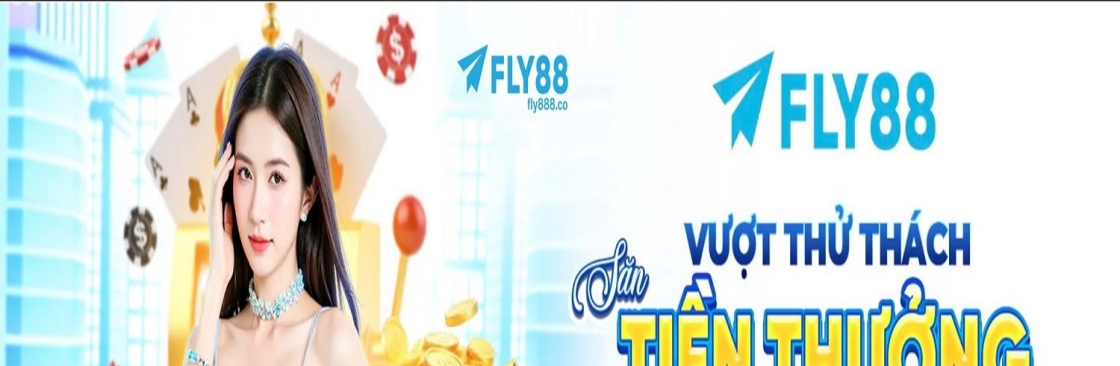 Fly888 co Cover Image