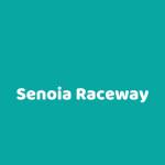 Senoia Raceway Profile Picture