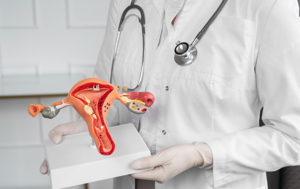 Hysterectomy Surgery: Indications, Risks & Care