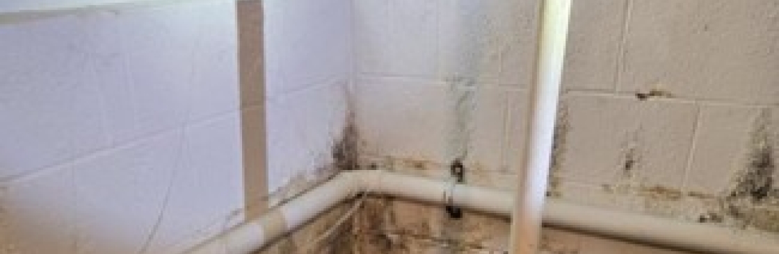 C and J Environmental Cover Image