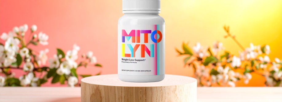 Moon Light Cover Image