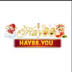 HAY 88 Profile Picture