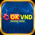 okvnd mom Profile Picture