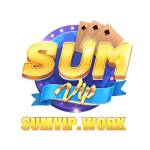 Sumvip Profile Picture