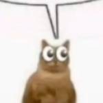 raidenmaister Profile Picture